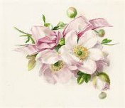Lilian Pilkington